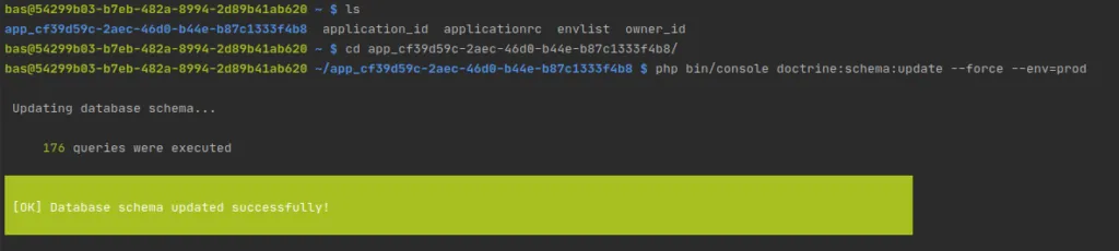 Retour de la commande php bin/console doctrine:schema:update --force --env=prod dans un terminal