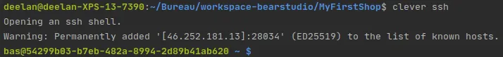 Retour de la commande clever ssh dans un terminal