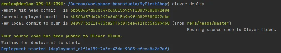 Retour de la commande clever deploy dans un terminal
