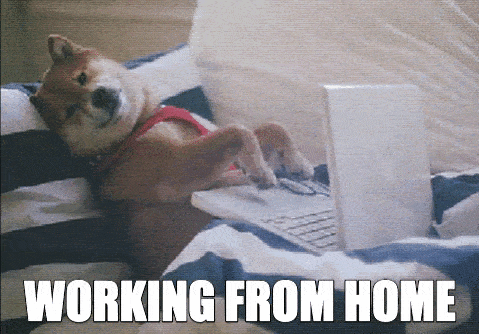 meme working from home